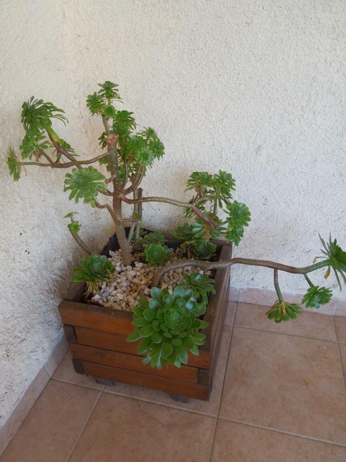 Ferienhaus Le Clos Des Arbousiers *